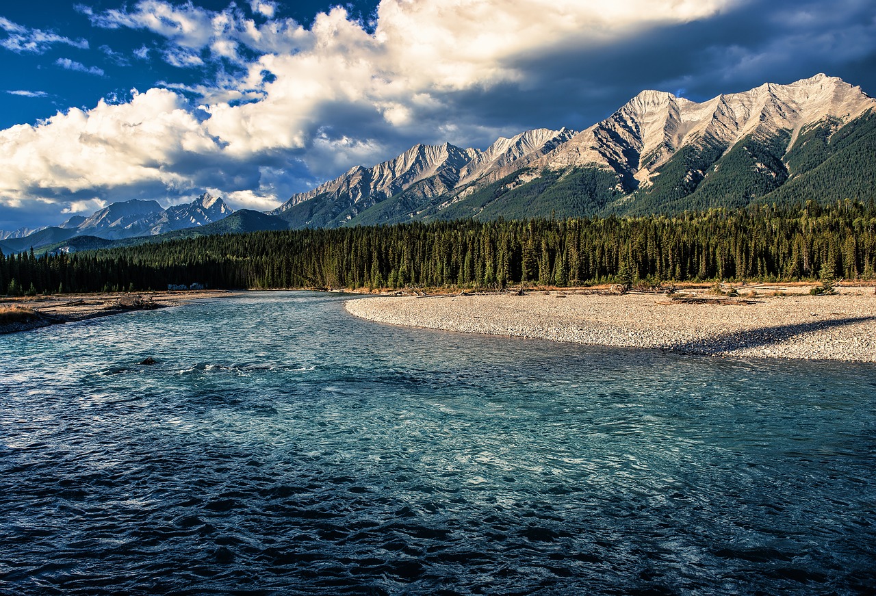 How to Paint a Flowing River: Step-By-Step Tutorial